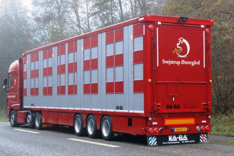 Lastbilmgler leverer ny grisetrailer til grd ved Skanderborg